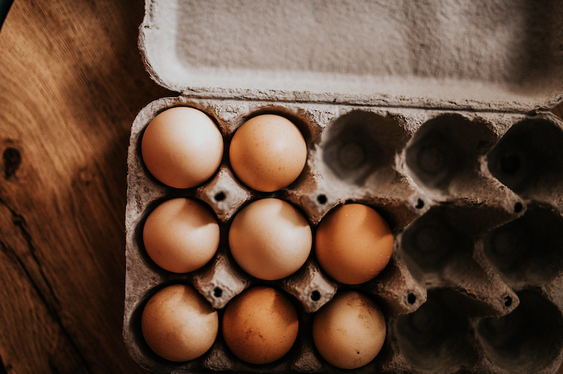 Eggs in fibre packaging credit Nenad Stojkovic