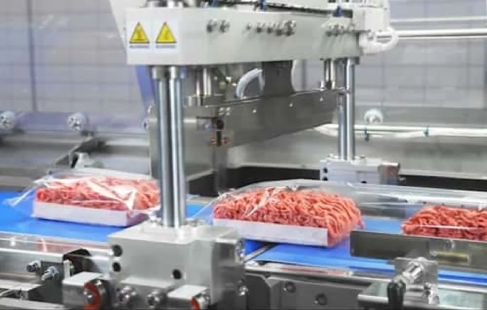 FUJI flow wrapping machine for minced meat