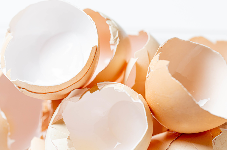 Many broken eggshell on white background credit Marco Verch Professional Photographer