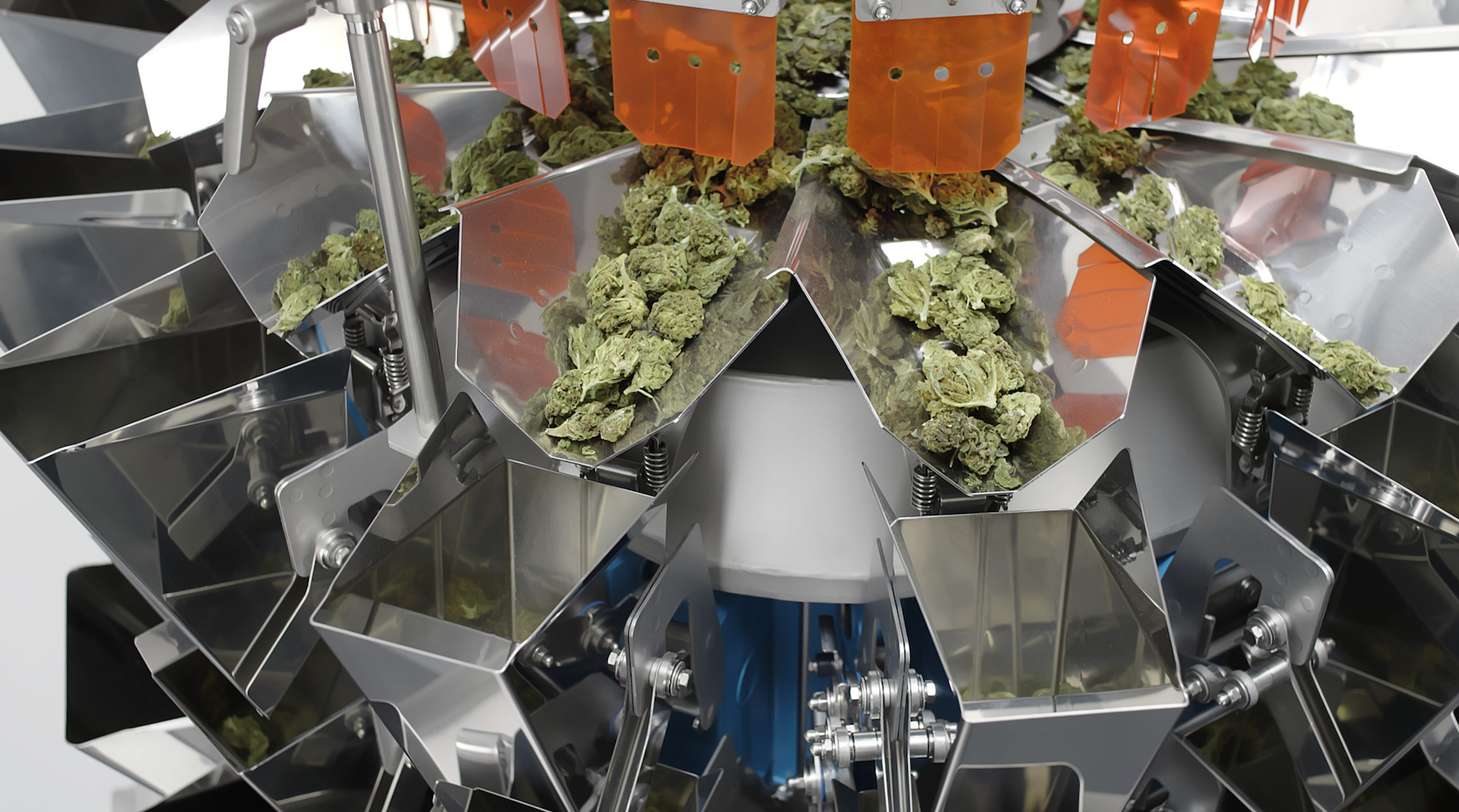 Yamato automate your cannabis packaging using combination scales