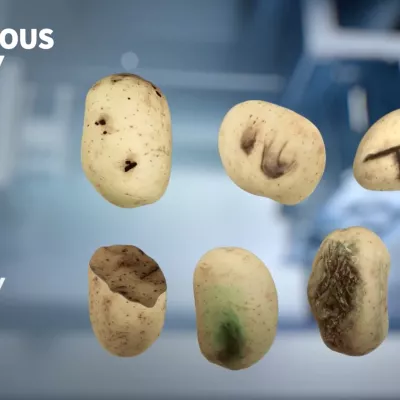 Newtec optical grading of potatoes by quality, size and shape