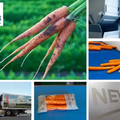 DanRoots and Newtec: A collaboration for accurate and efficient weighing and packing of a new organic snack carrot variant