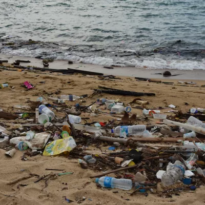 Grocery brands unite to combat global plastic pollution