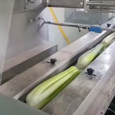 Laferpack Cosmic complete packaging line for vegetables