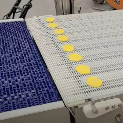 Multi-Conveyor flush grid wash down conveyor