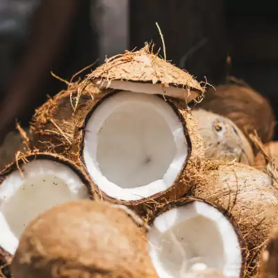 Researchers transform coconut husks into eco-friendly packaging