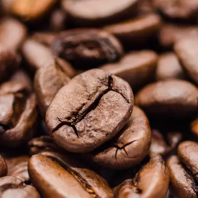 Coffee Packaging: influencing European consumer choices