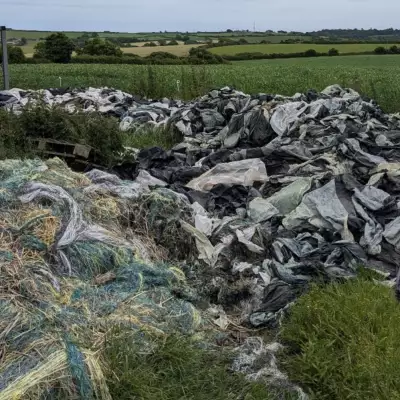 Farmers replace plastics with biodegradable twine in new farm trial