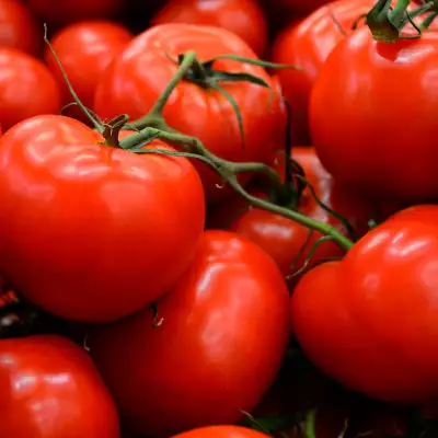 Australia’s MasterFoods trials paper-based tomato sauce packs