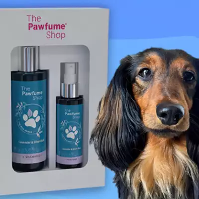 Spectra teams up with The Pawfume Shop to deliver sustainable packaging for their new Eco Range