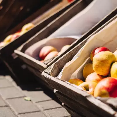 European kiwi and apple producers explore sustainable packaging solutions