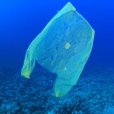 University of Queensland unveils seawater-degradable plastic breakthrough