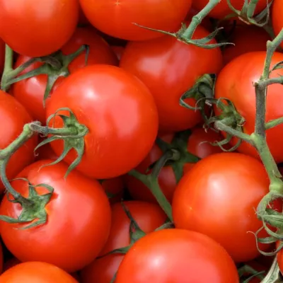 Tomato residue: the key to safer and more sustainable metal food packaging?
