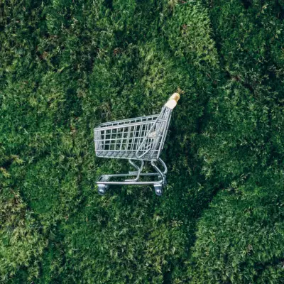 Embracing sustainability: How brands are responding to eco-conscious consumer demands