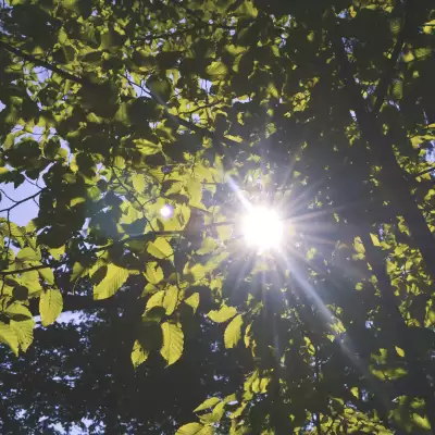 Spectra Packaging: It’s getting warmer – protect your PET bottles