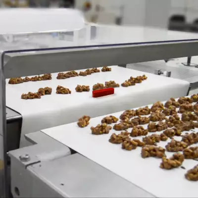 Why routine testing of metal detectors is essential for food safety