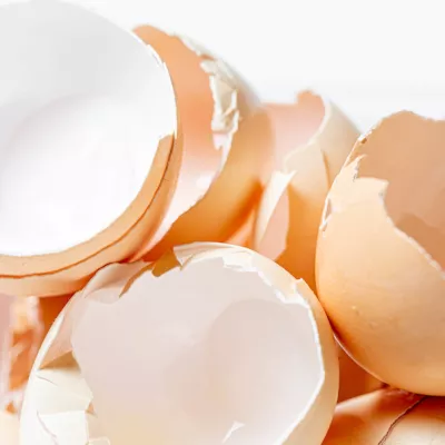 Eggshell-derived packaging receives recyclability certification