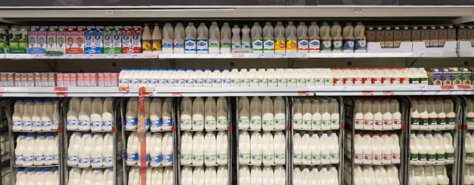 Sainsbury's ditches use-by dates on milk to slash waste