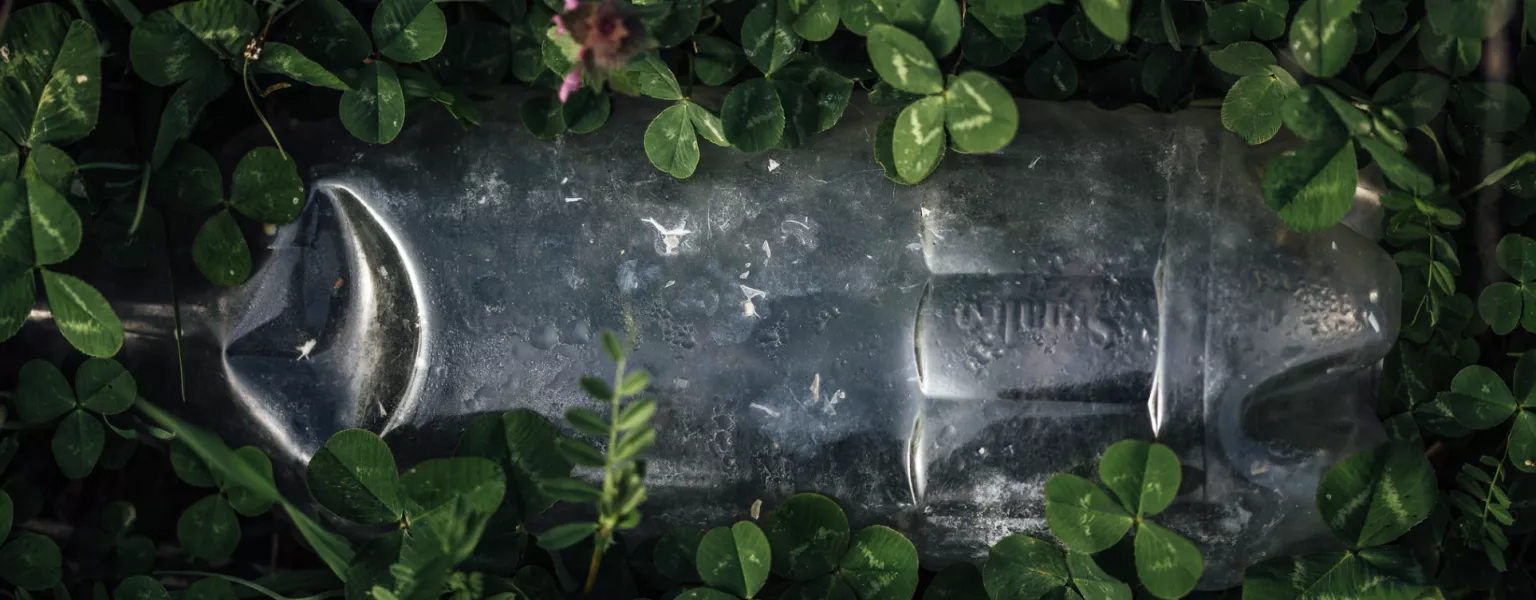Close up of clovers growing around a plastic bottle credit Ivan Radic