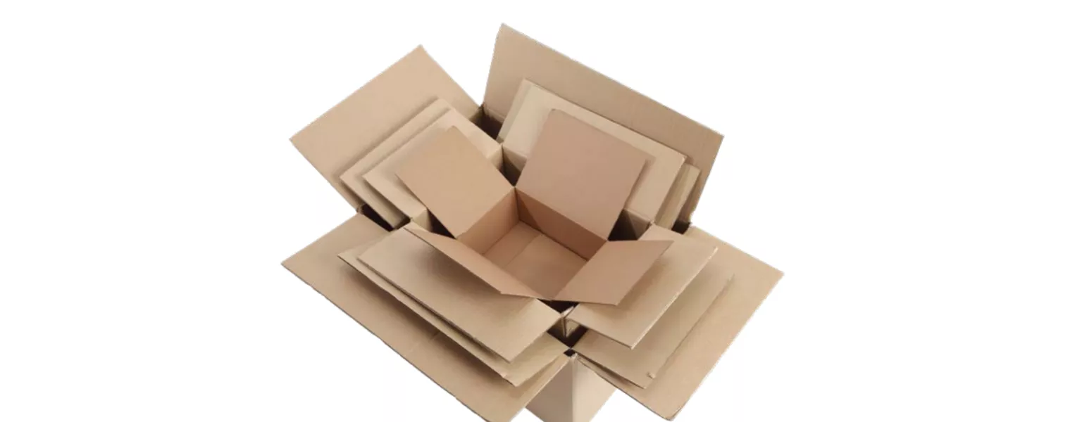 Allpack introduces cutting-edge Cartons Packaging Guide to revolutionise industry standards