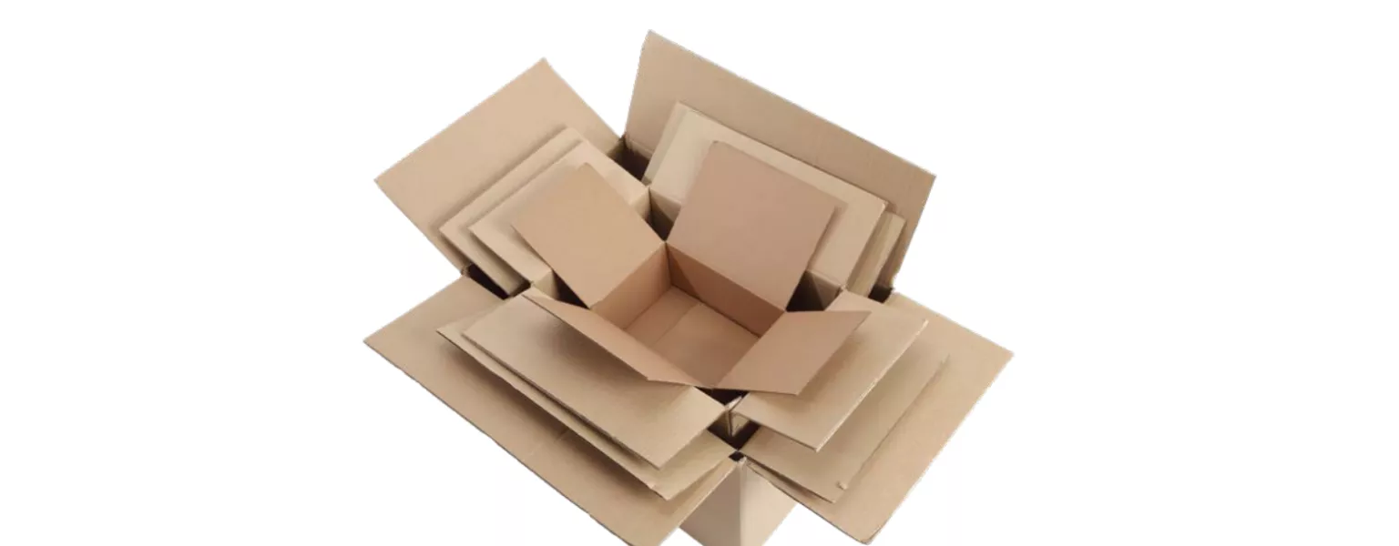Allpack introduces cutting edge Cartons Packaging Guide