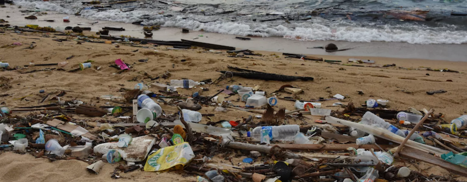 Litter on Singapores ECP credit vaidehi shah