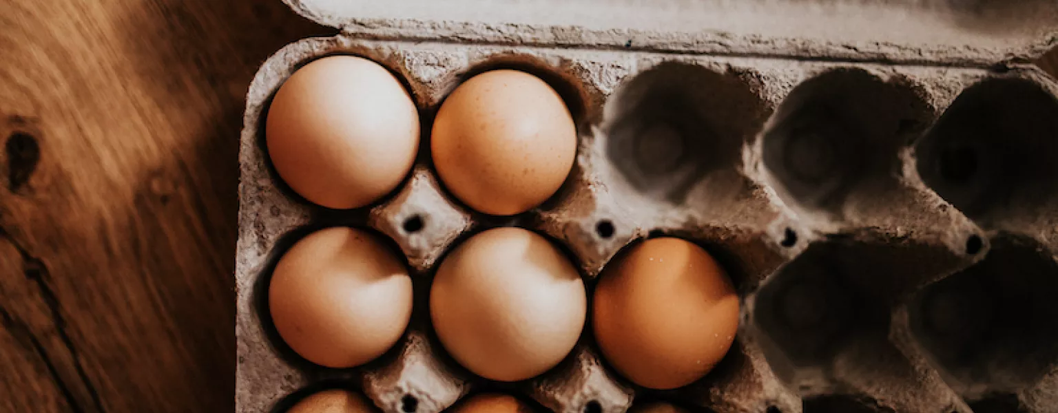 Eggs in fibre packaging credit Nenad Stojkovic