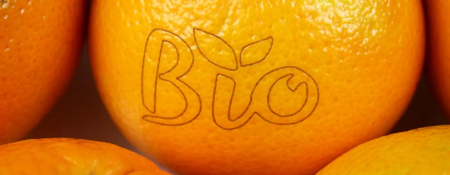 Macsa Id Laser marking on fruit