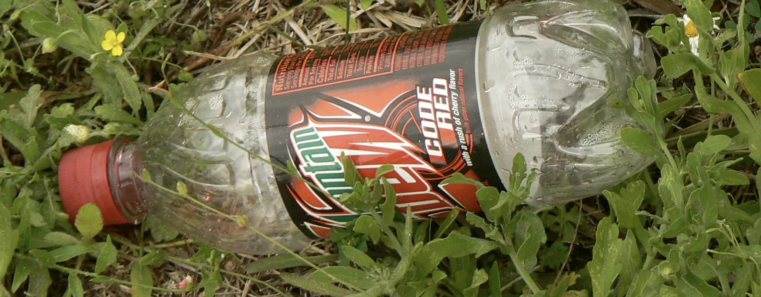 Mountain Dew credit Terry Ross