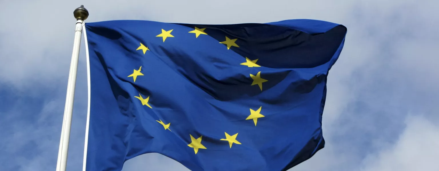 EU flag credit bobbsled