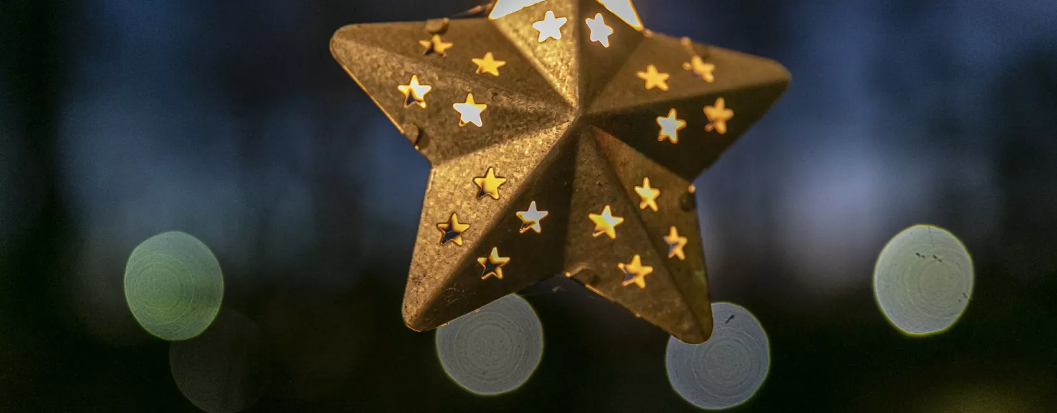 Gold Star Alabama Extension Public Domain