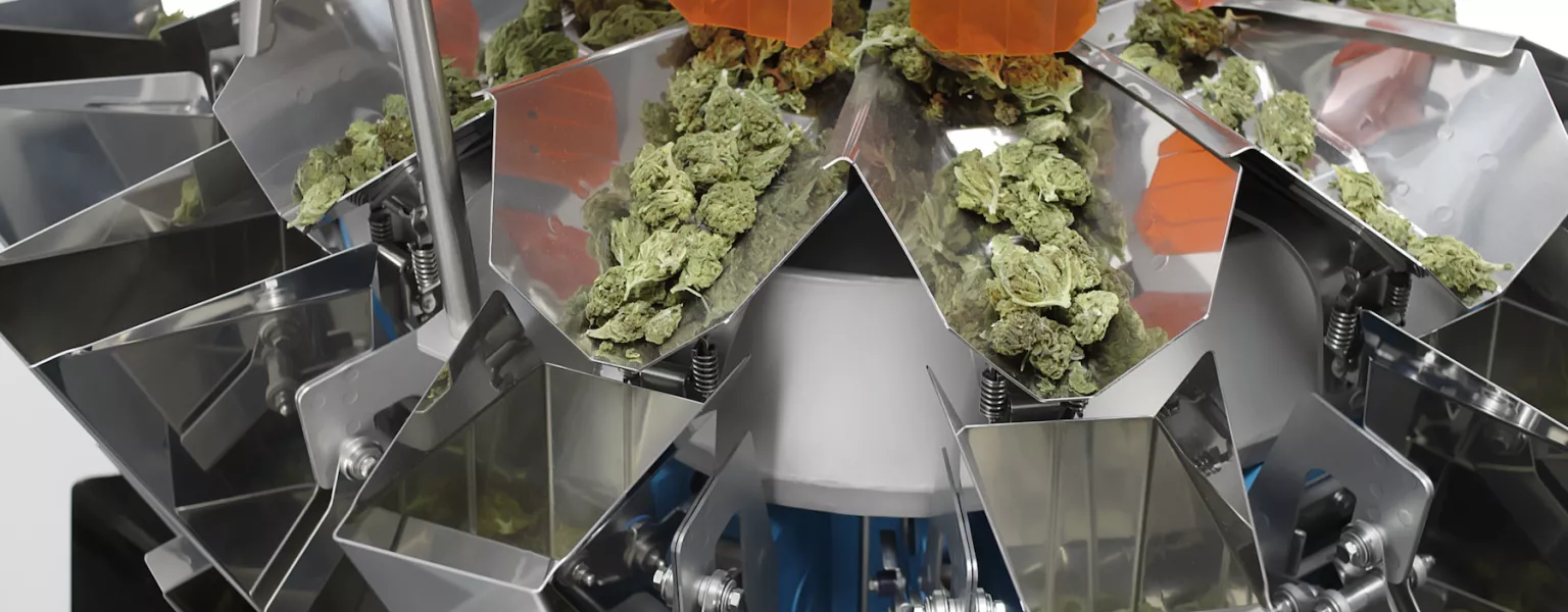Yamato automate your cannabis packaging using combination scales