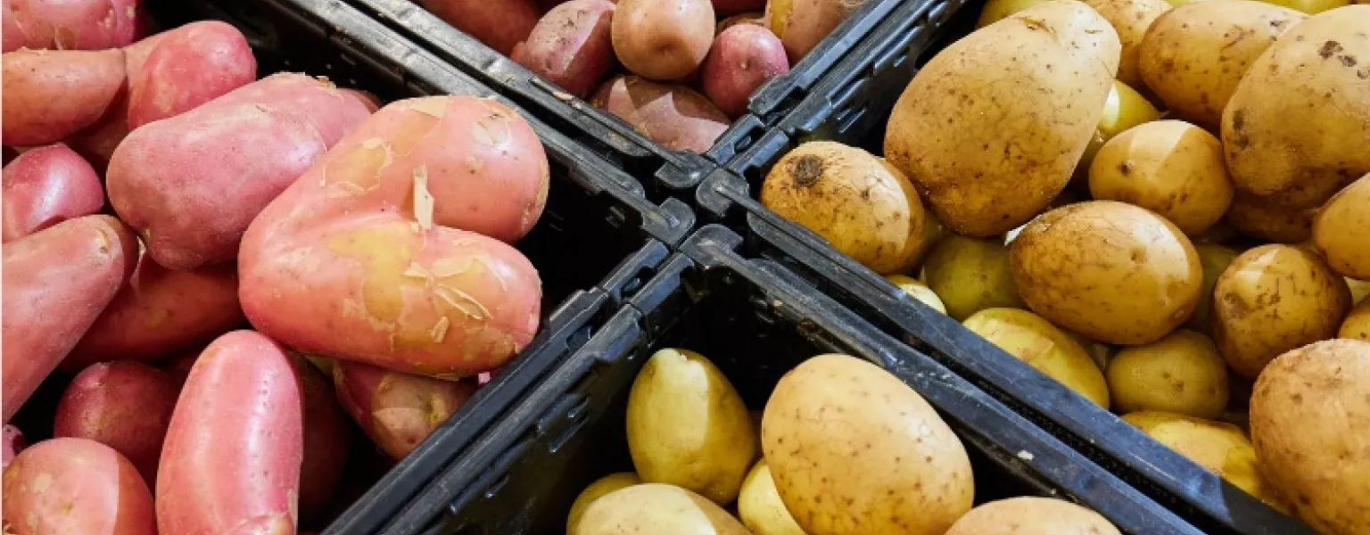 SPAR Hungary to Introduce Sustainable Fruit and Vegetable Containers