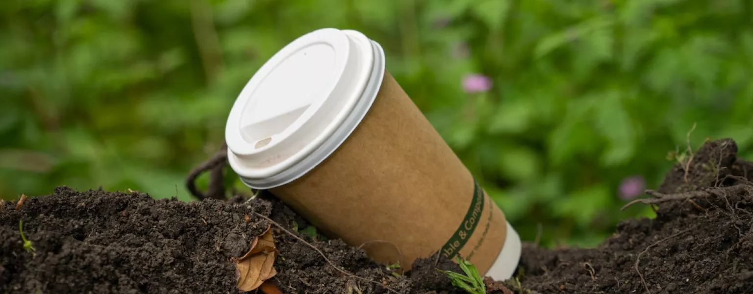 Biodegradable and compostable coffee cup