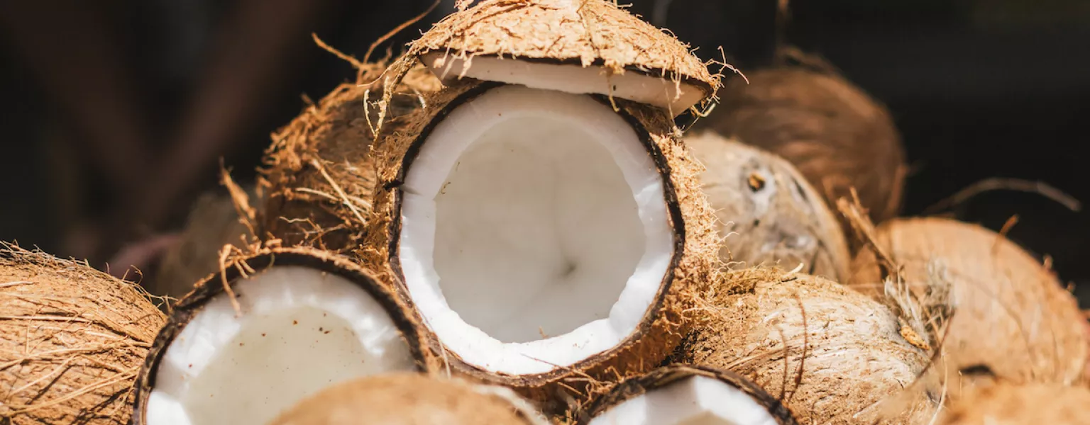 Researchers transform coconut husks into eco-friendly packaging