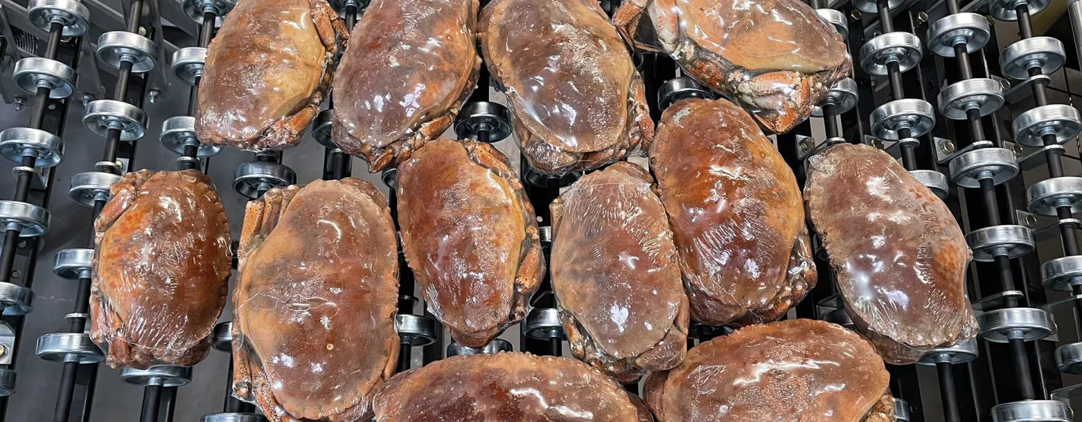 YPS new line seals irregular seafood perfectly every time