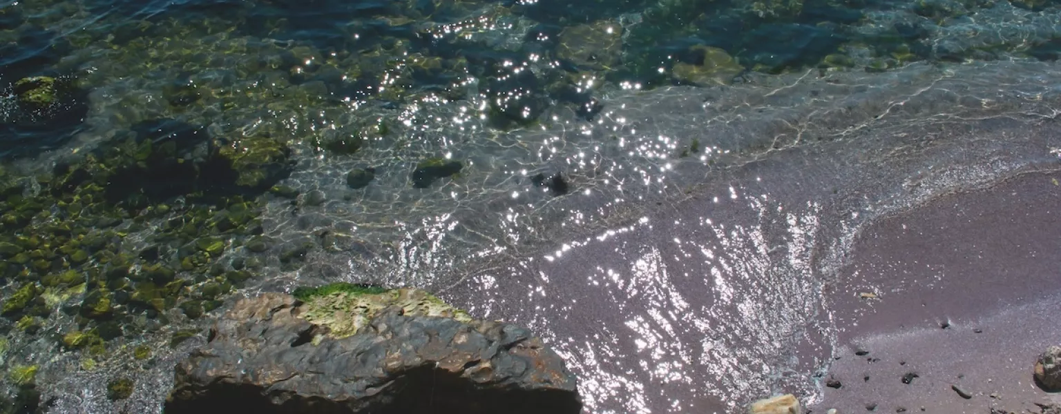 80percent fewer carrier bags on UK beaches data reveals