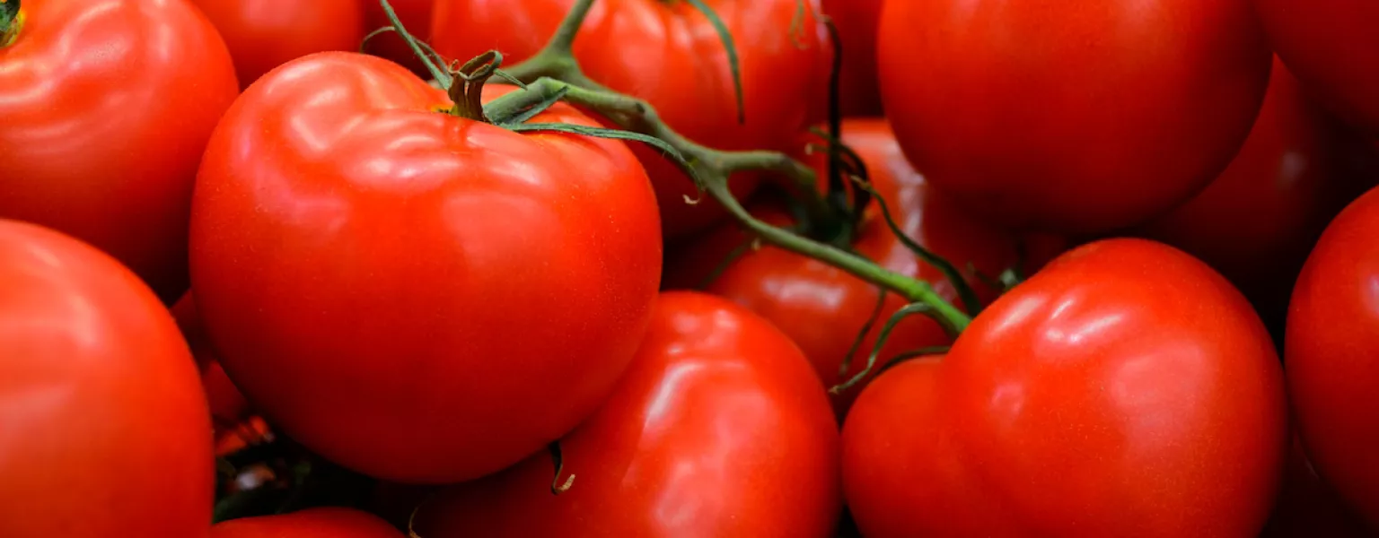 Australia’s MasterFoods trials paper-based tomato sauce packs