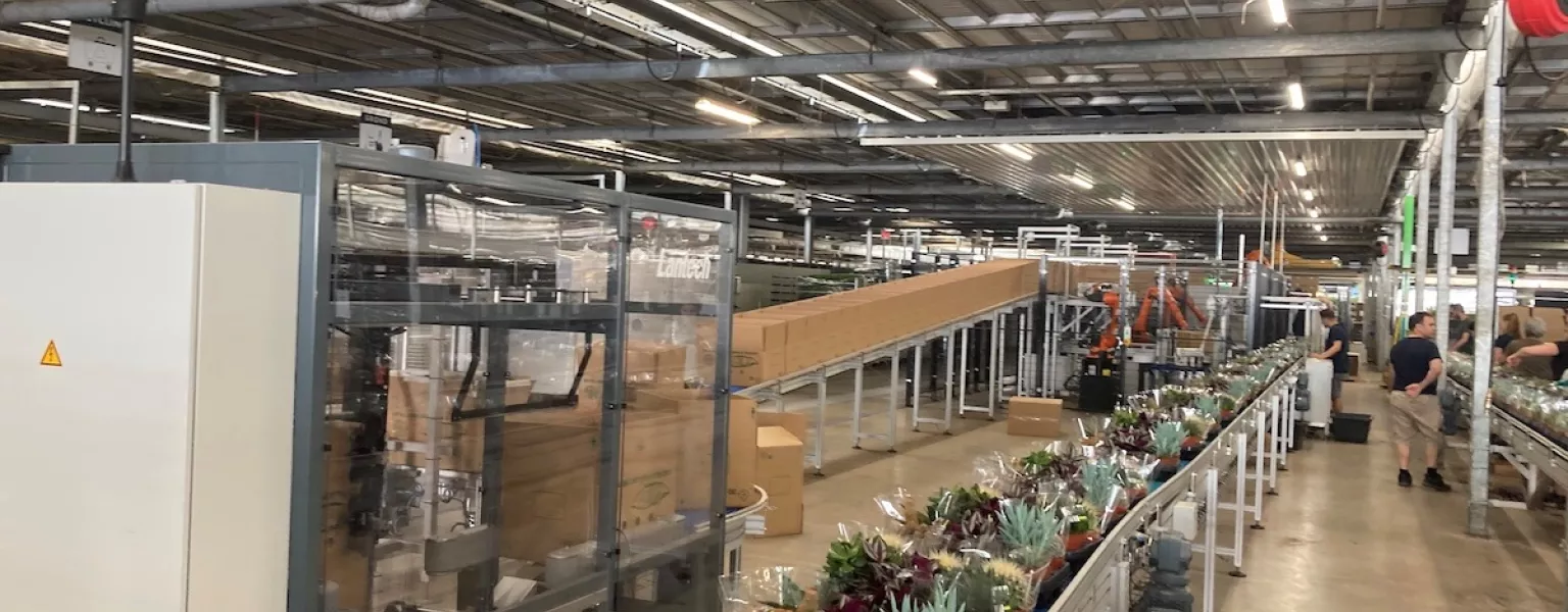 Lantech systems automate packaging of plants and flowers