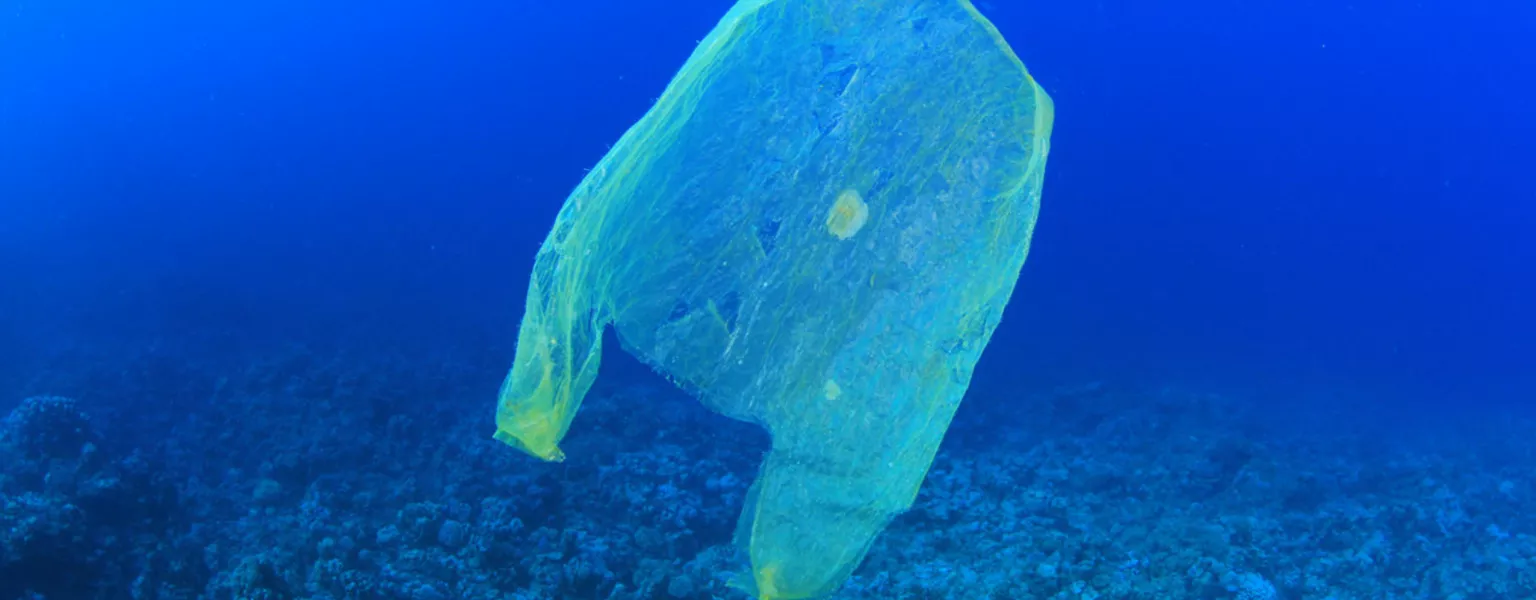 University of Queensland unveils seawater-degradable plastic breakthrough