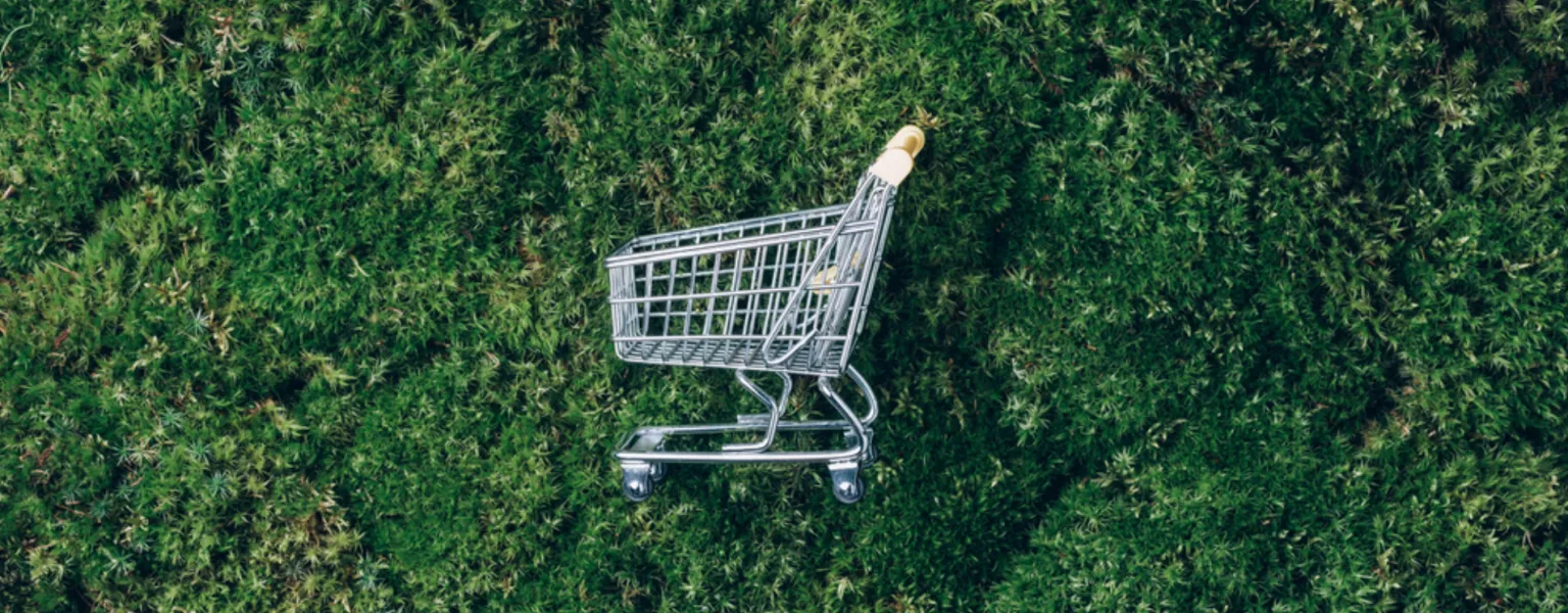Embracing sustainability How brands are responding to eco conscious consumer demands