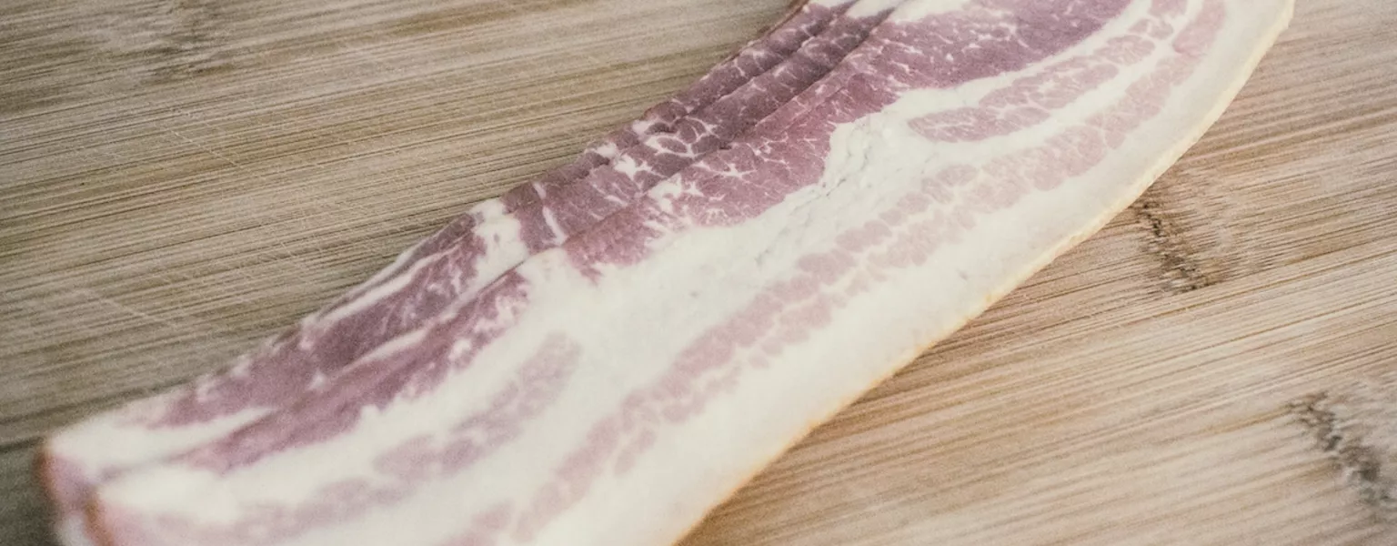 Ocean bound plastics deemed unsuitable for food contact by UK regulators