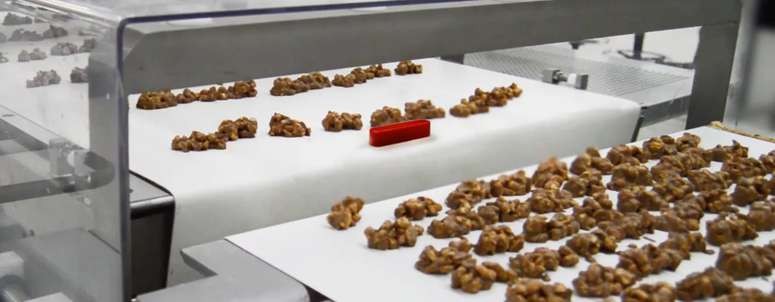Why routine testing of metal detectors is essential for food safety