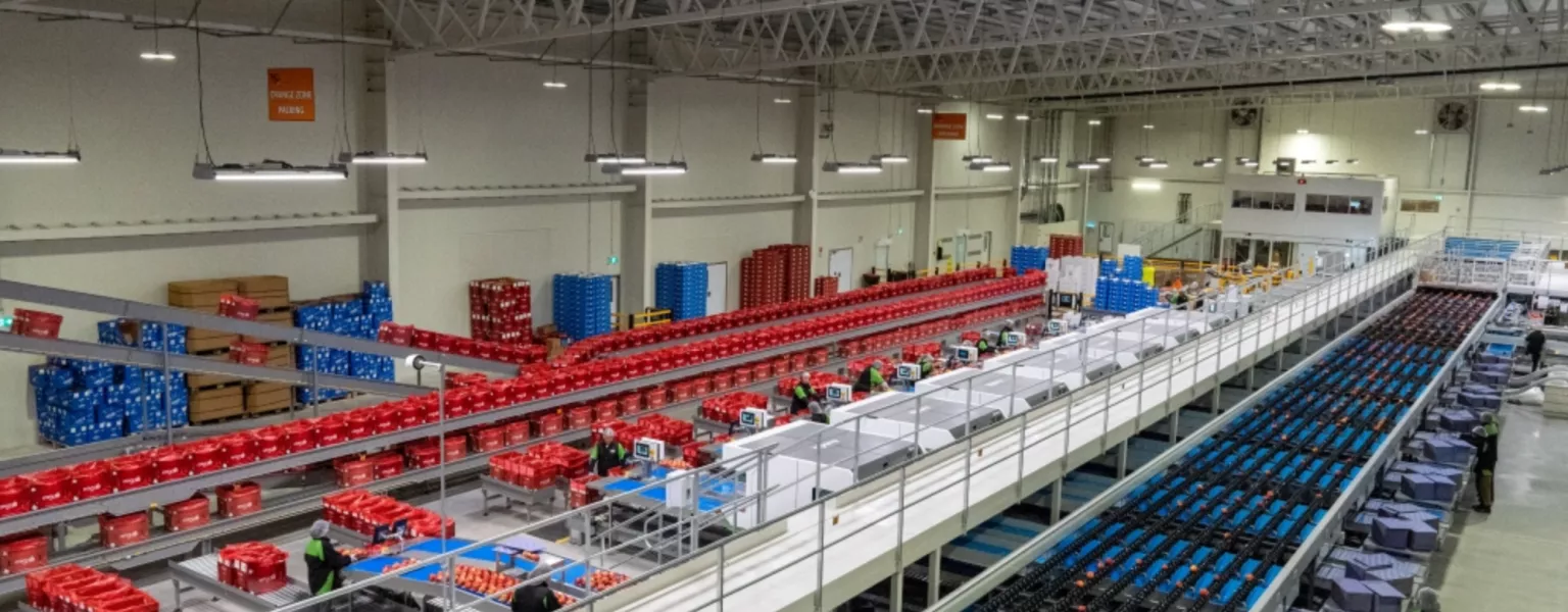 Interior of packhouse credit T&G Global