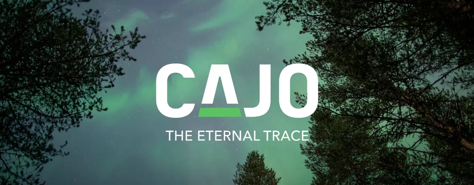 Introduction to Cajo Technologies