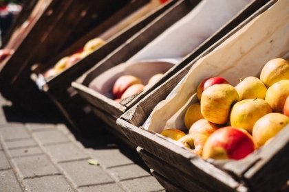 European kiwi and apple producers explore sustainable packaging solutions