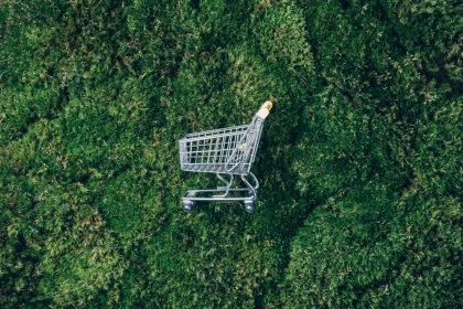 Embracing sustainability: How brands are responding to eco-conscious consumer demands