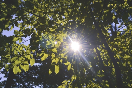 Spectra Packaging: It’s getting warmer – protect your PET bottles