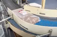 AmbaFlex Spiral Conveyor for bag handling pet food