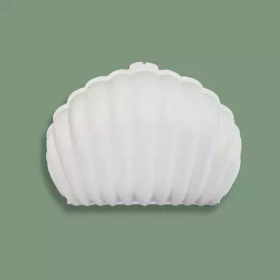 Lyte Packaging clam shell